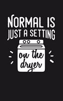 Normal Is Just a Setting on the Dryer