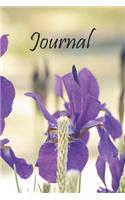 Journal