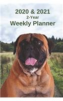 2020 & 2021 Weekly Planner - Two Year Appointment Book Gift - Two-Year Agenda Notebook for Mastiff Dog Owners: Month Calendar: 2 Years of Monthly Plans - Daily Reminder Logbook - Day Log For Academic, Work, Personal, Dog Training Schedule, etc.