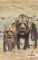 Lion Notebook: Unique Lion Journal, Notebook for animal and big cats lovers (Graph Paper) great for kids, boys, girls, to writing notes, drawing, journaling, doodl