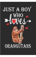 Just a Boy Who Loves Orangutans
