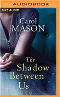 The Shadow Between Us