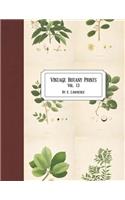 Vintage Botany Prints: Vol. 13