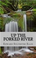 Up the Forked River