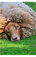 One Tuckered Out Sheep Journal: Take Notes, Write Down Memories in this 150 Page Lined Journal