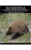 Echidna: Fascinating Echidna Facts for Kids with Stunning Pictures!
