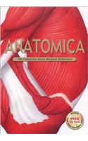 Anatomica