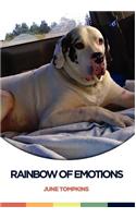 Rainbow of Emotions