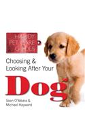 Choosing & Looking After Your Dog