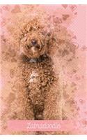 Labradoodle: Pink Notebook or Journal with Lines - Labradoodle