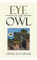 Eye of the Owl