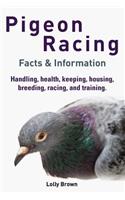 Pigeon Racing