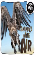 Animals in the Air