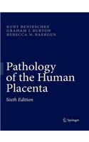 Pathology of the Human Placenta