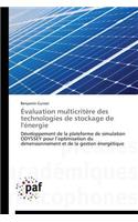 Évaluation Multicritère Des Technologies de Stockage de l'Énergie