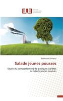 Salade Jeunes Pousses