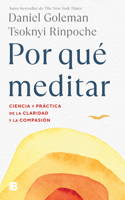 Por Qué Meditar / Why We Meditate