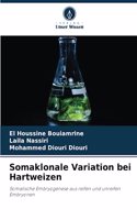 Somaklonale Variation bei Hartweizen