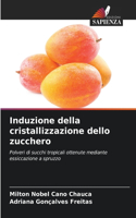 Induzione della cristallizzazione dello zucchero