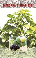 Jatropha & Bio-Diesel