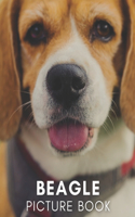 Beagle Picture Book: 40 Amazing High Quality Images No Words, Perfect Gift for Kids and Adults