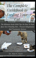 The Complete Guidebook to Feeding Your Cat