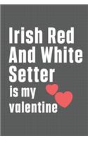 Irish Red And White Setter is my valentine: For Irish Red And White Setter Dog Fans
