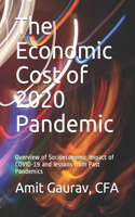 Economic Cost of 2020 Pandemic