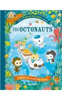 Octonauts Explore the Great Big Ocean