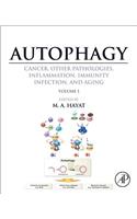 Autophagy: Cancer, Other Pathologies, Inflammation, Immunity, Infection, and Aging