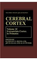 Cerebral Cortex