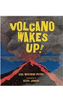 Volcano Wakes Up!