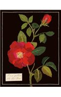 Mary Delany Florals Keepsake Box