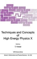 Techniques and Concepts of High Energy Physics X