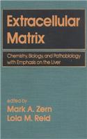Extracellular Matrix