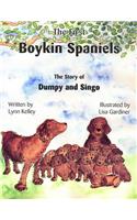 The First Boykin Spaniels