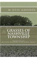 Grasses of Nashville Township