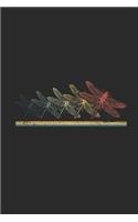 Dragonfly Retro: Dragonflies Notebook, Graph Paper (6 x 9 - 120 pages) Animal Themed Notebook for Daily Journal, Diary, and Gift