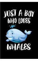 Just A Boy Who Loves Whales