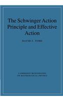 The Schwinger Action Principle and Effective Action