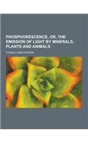 Phosphorescence, Or, the Emission of Light by Minerals, Plants and Animals: (English)