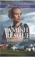 Amish Rescue