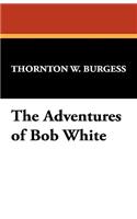 The Adventures of Bob White