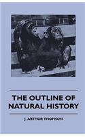 Outline Of Natural History