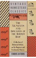 Ailments and Diseases of the Horses Hoof - A Collection of Historical Articles on the Diagnosis and Treatment of Horses