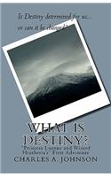 What Is Destiny?