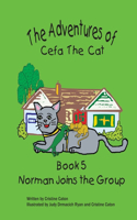 Adventures of Cefa the Cat