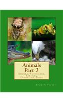 Animals Part 3