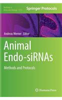 Animal Endo-SiRNAs