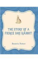 The Story of a Fierce Bad Rabbit